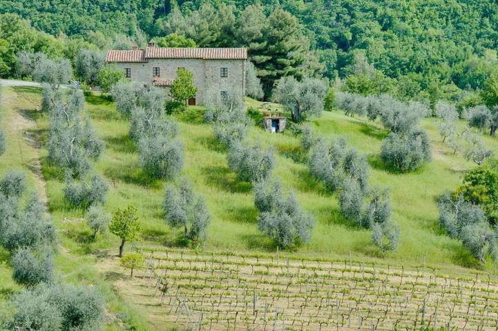 Agriturismo voor 3 personen, met uitzicht en tuin in Val d'Orcia