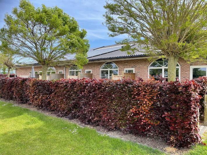 Ferienwohnung für 5 Personen, mit Terrasse in Groede - 2