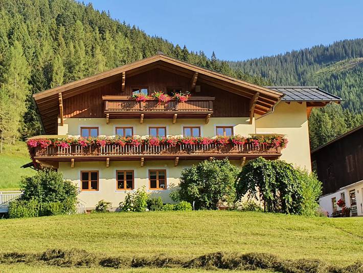 Ganze Ferienwohnung, Apartment/1 Schlafraum/Dusche, Wc in Filzmoos, Tennengau