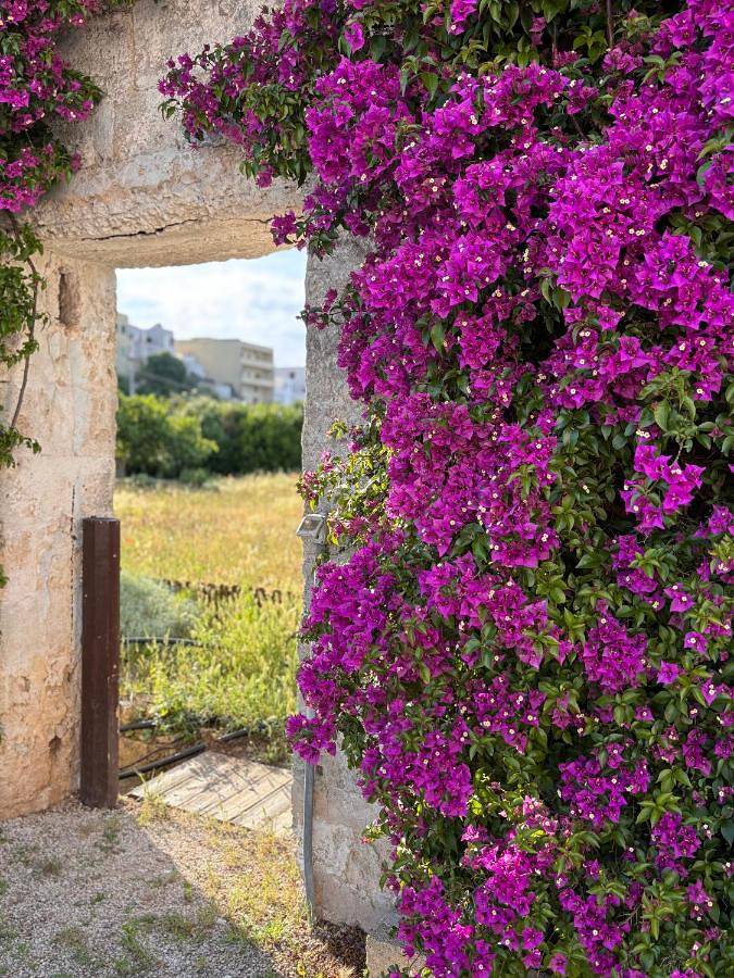 Gîte pour 2 personnes, avec jardin et terrasse à Ugento - 2
