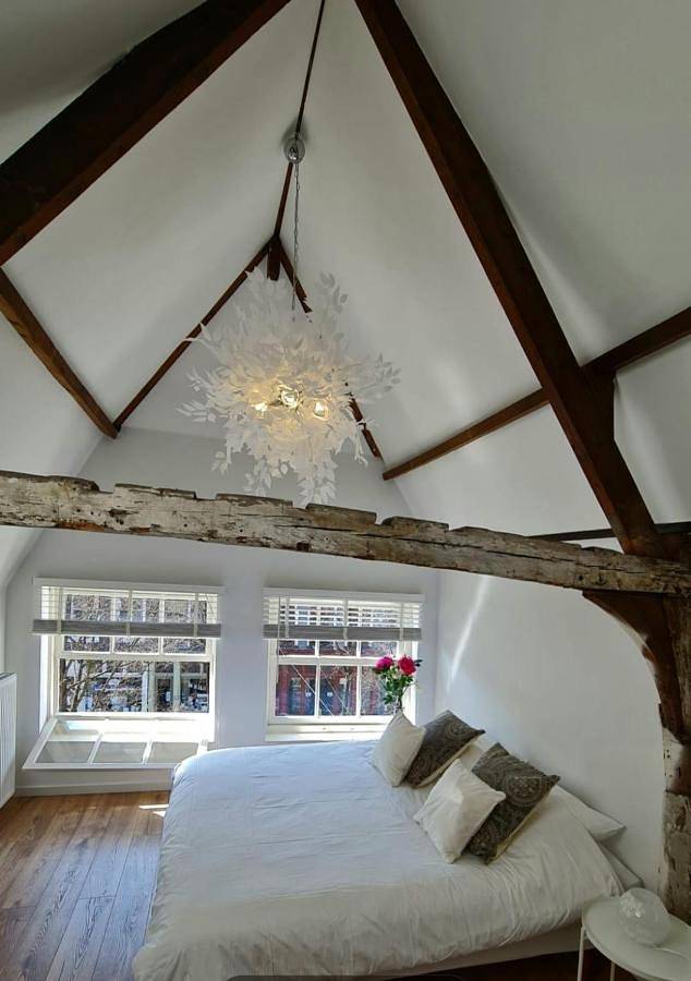 Geheel appartement, Appartement Mes Amis Delft in Delft, Stadsgewest Haaglanden