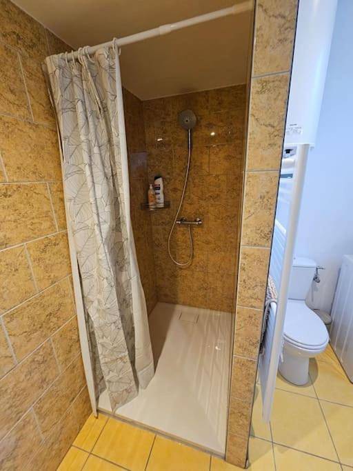 Gîte pour 4 personnes, animaux acceptés à Villeneuve-sur-Yonne - 3