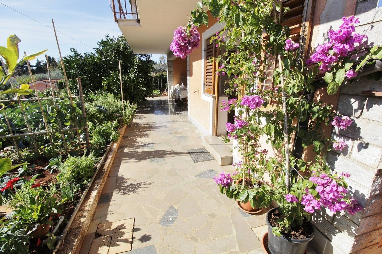 Apartamento entero, Apartment Marija 2 Savudrija in Umag, Region de Umag