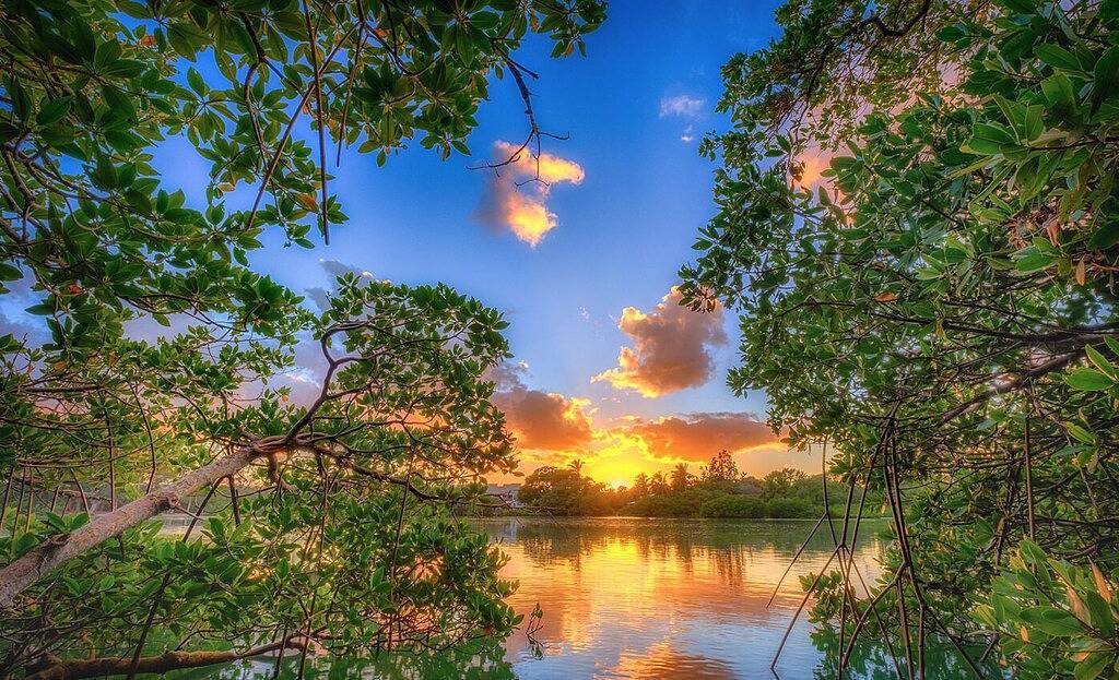 Ganze Wohnung, Gehen Sie zum Strand, Einkaufsmöglichkeiten, Restaurants und vieles mehr! ❤️💛💚 in Jupiter, Palm Beach County