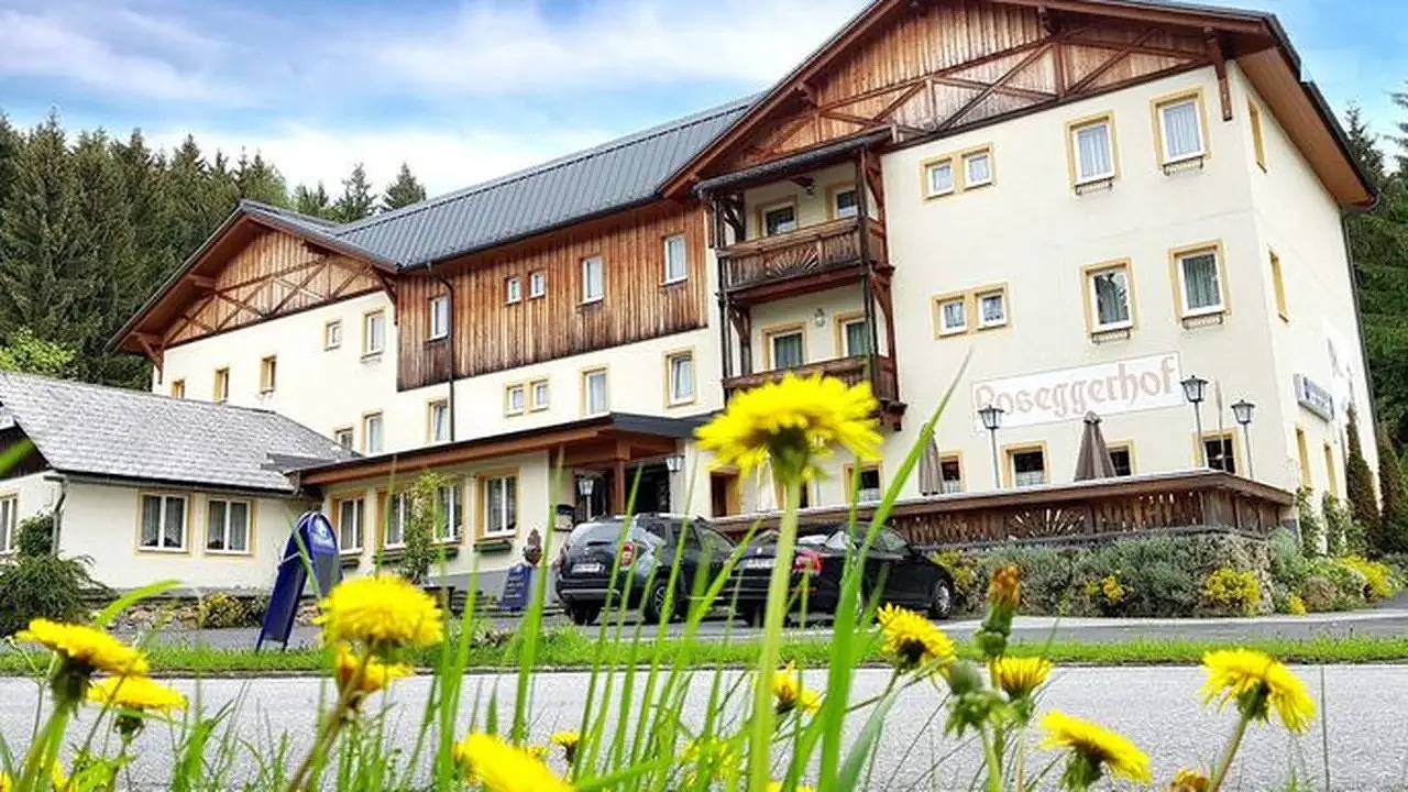 Einzelzimmer für 1 Person (15 m²) in Alpl in St. Kathrein am Hauenstein, Steirerland