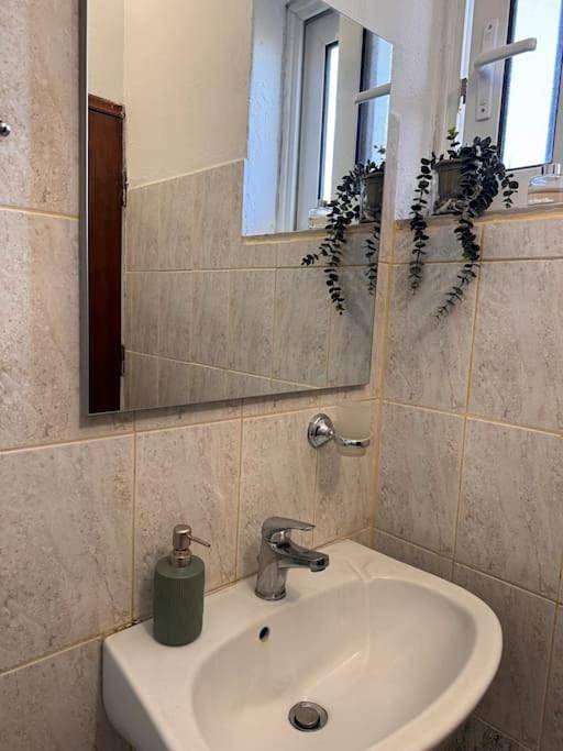 Ferienwohnung für 4 Personen, mit Terrasse, mit Haustier in Faliraki - 2