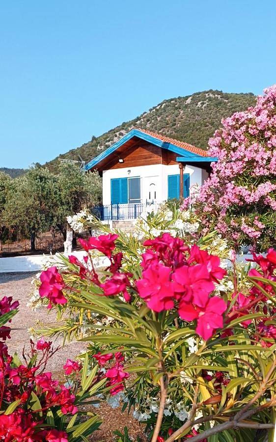 Villa für 6 Personen, mit Garten und Ausblick sowie Terrasse, mit Haustier auf Thassos - 3