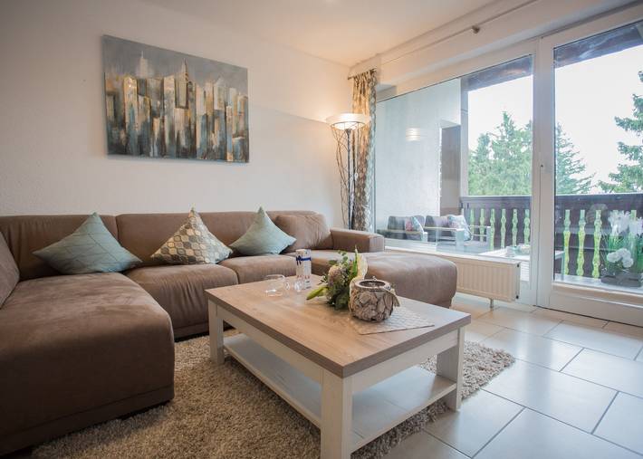 Ferienhaus für 4 Personen, mit Balkon/Terrasse und Balkon, mit Haustier in Winterberg - 2