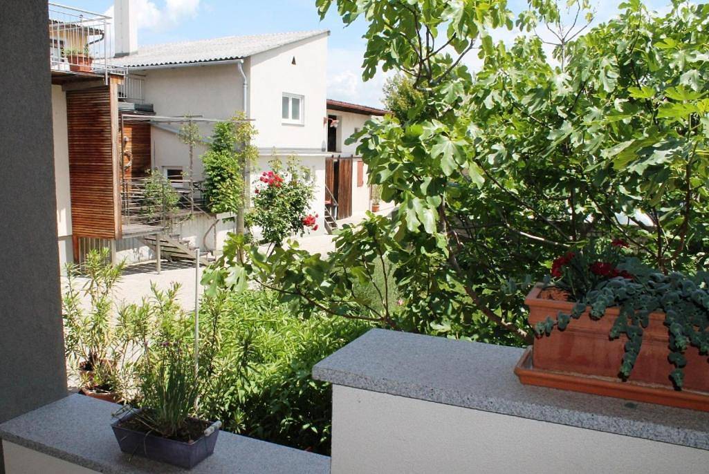 Ganze Wohnung, Ferienhof Weingut Lunzer in Gols, Neusiedlersee-Hügelland