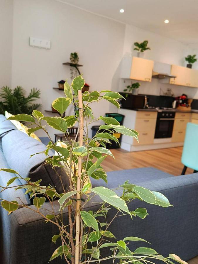 Gîte pour 4 personnes, avec terrasse, animaux acceptés à Aubigny-sur-Nère
