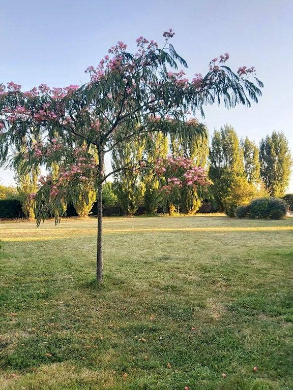 Chambre d’hôte pour 5 personnes, avec jardin et jacuzzi dans Centre-Val de Loire - 3