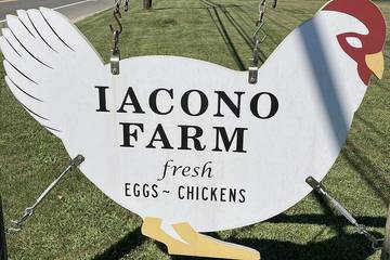 Holiday Home for 6 People in Springs, North Fork, Photo 4