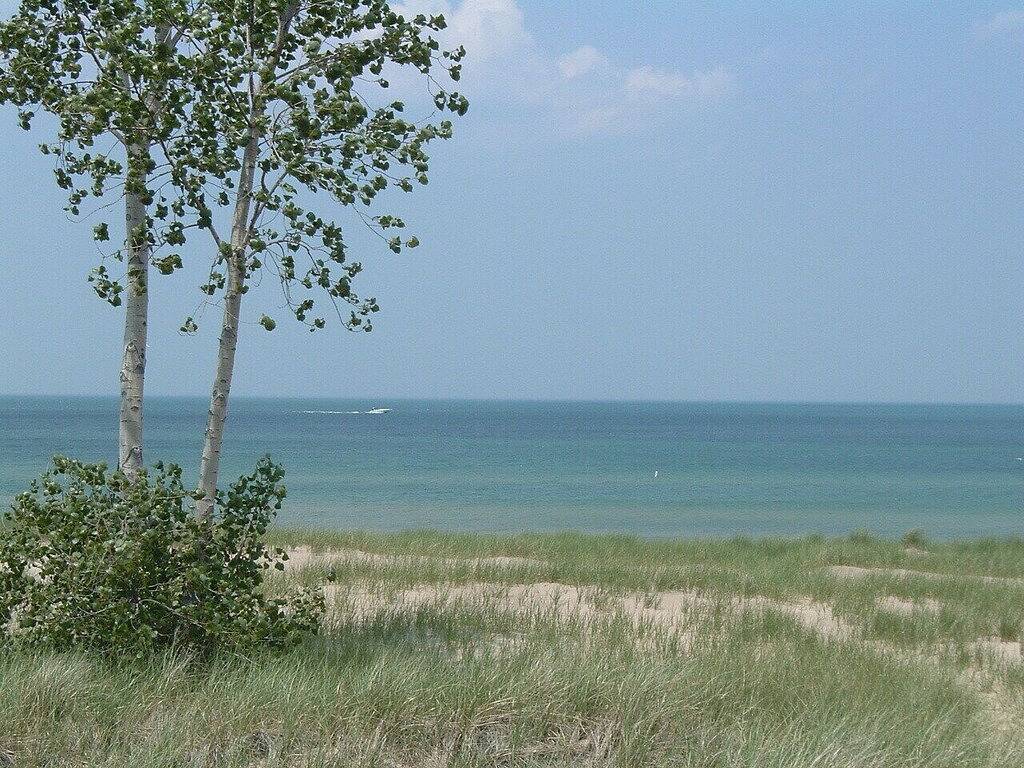 Ganze Wohnung, Direkt am Strand / Whirlpool (ganzjährig) Dampfbad / Whirlpool / Haustiere / 2Night Min / Strand Rollstuhl in Michigan City, LaPorte County