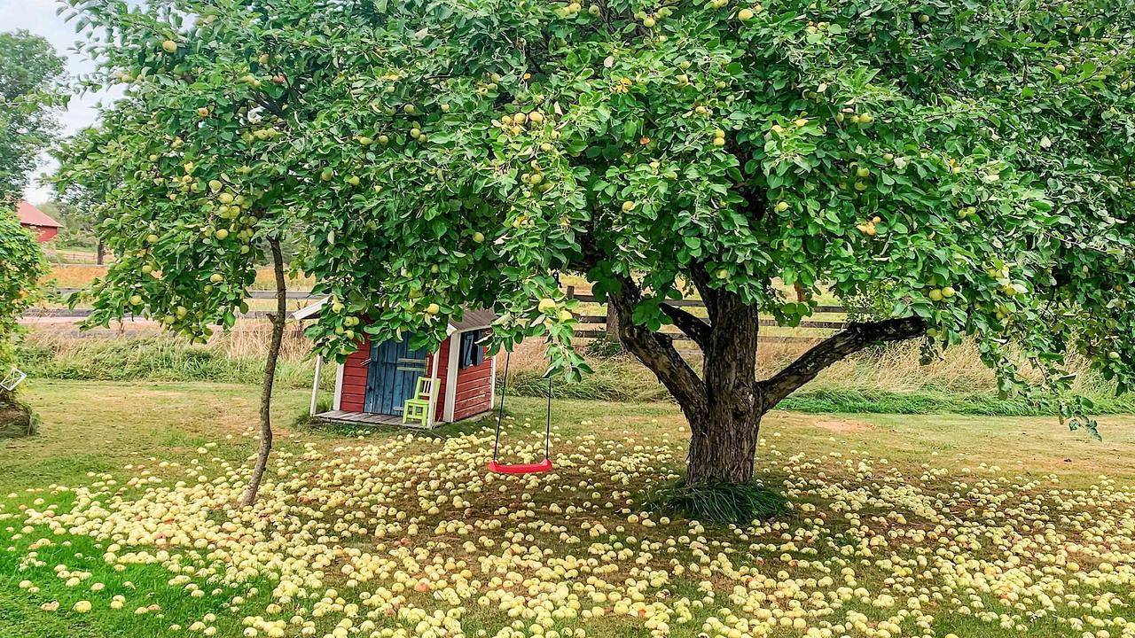Holiday home for 4 people with garden in Stockholm region