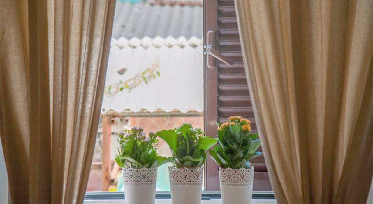 B&B Longobardi in Trani, Barletta-Andria-Trani