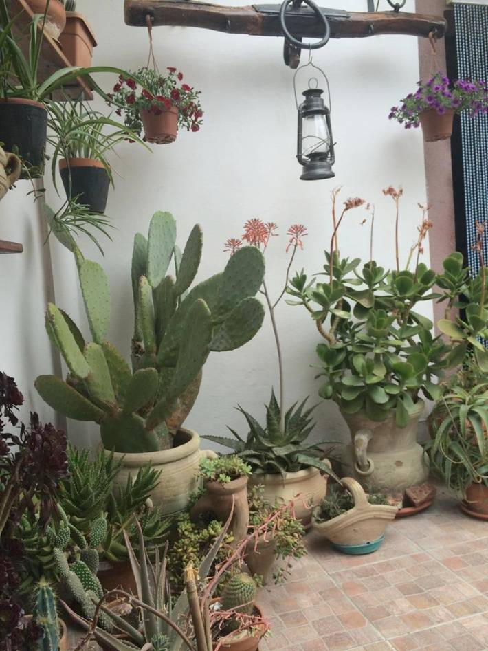 Location de vacances pour 5 personnes, avec vue et terrasse à Mòdolo - 3