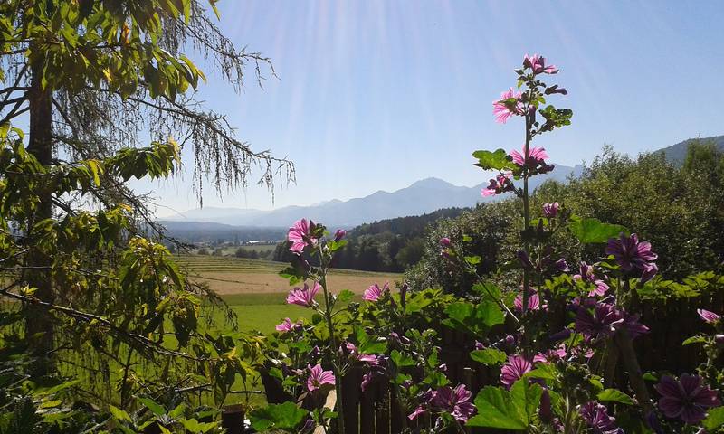 Bauernhof für 5 Personen, mit Balkon und Garten, kinderfreundlich in Bernau am Chiemsee - 3