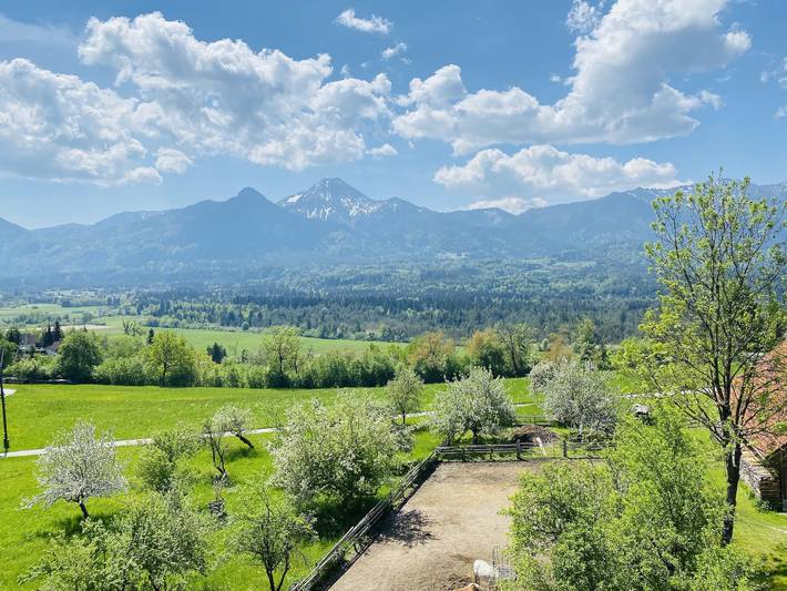Bauernhof für 6 Personen, mit Garten in Österreich - 4
