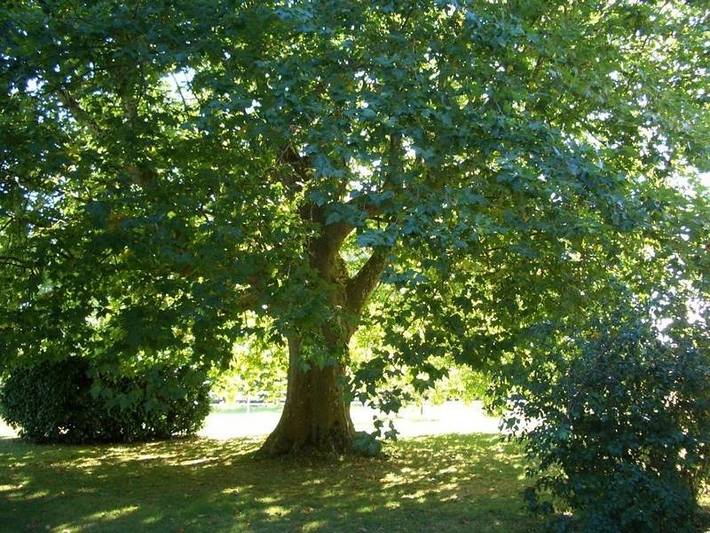 Cottage pour 3 personnes, avec jardin et vue ainsi que terrasse et piscine à Lafrançaise