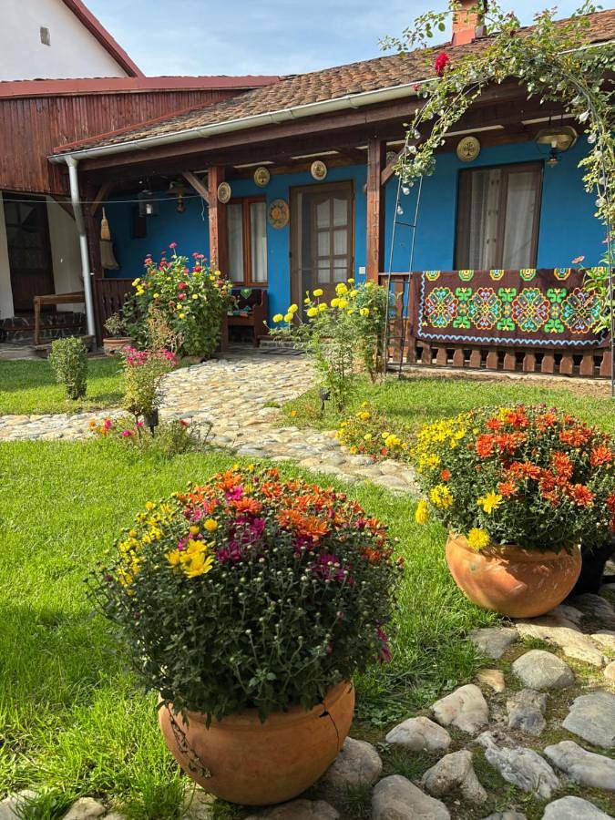Maison d’hôte pour 2 personnes, avec Terrasse ainsi que Jardin et Vue dans Porumbacu de Sus