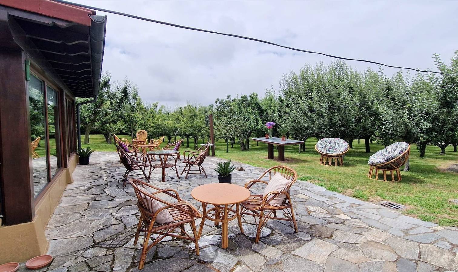 Cosma House Bed and Breakfast Kamer 5, foto 6