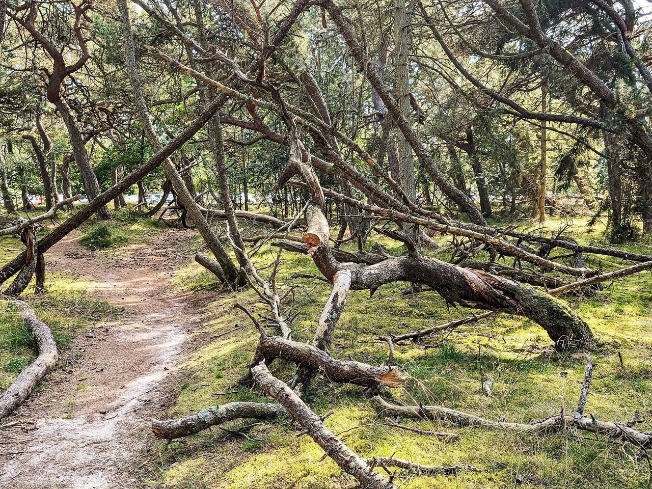 6 Personen Ferienhaus in Frederiksværk-By Traum in Gribskov