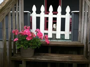 Cabin for 6 Guests in Nags Head, Dare County, Picture 1
