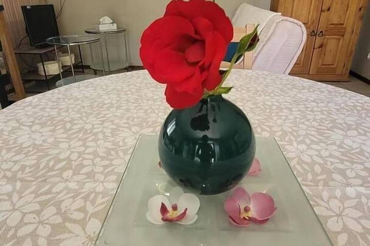 Location de vacances pour 3 personnes, avec terrasse ainsi que jardin et jacuzzi dans Saint-Genix-les-Villages - 2