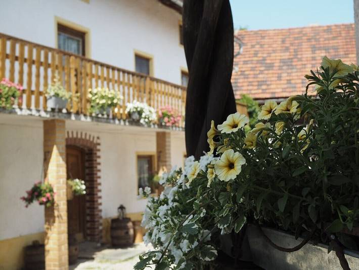 Auf dem Ferienhof Haslinger in Winzer, Ostbayern