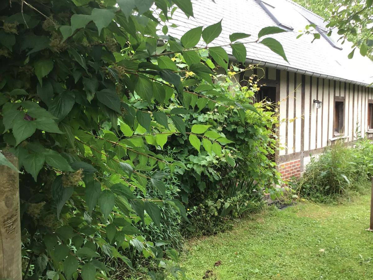 Gîte des Tournesols in Écaquelon, Région de Bernay