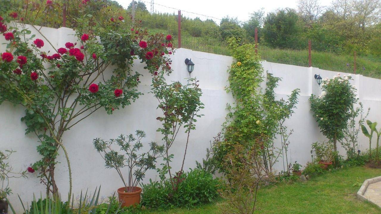 Double Room with Private Bathroom in Obzor, Bourgas (oblast)