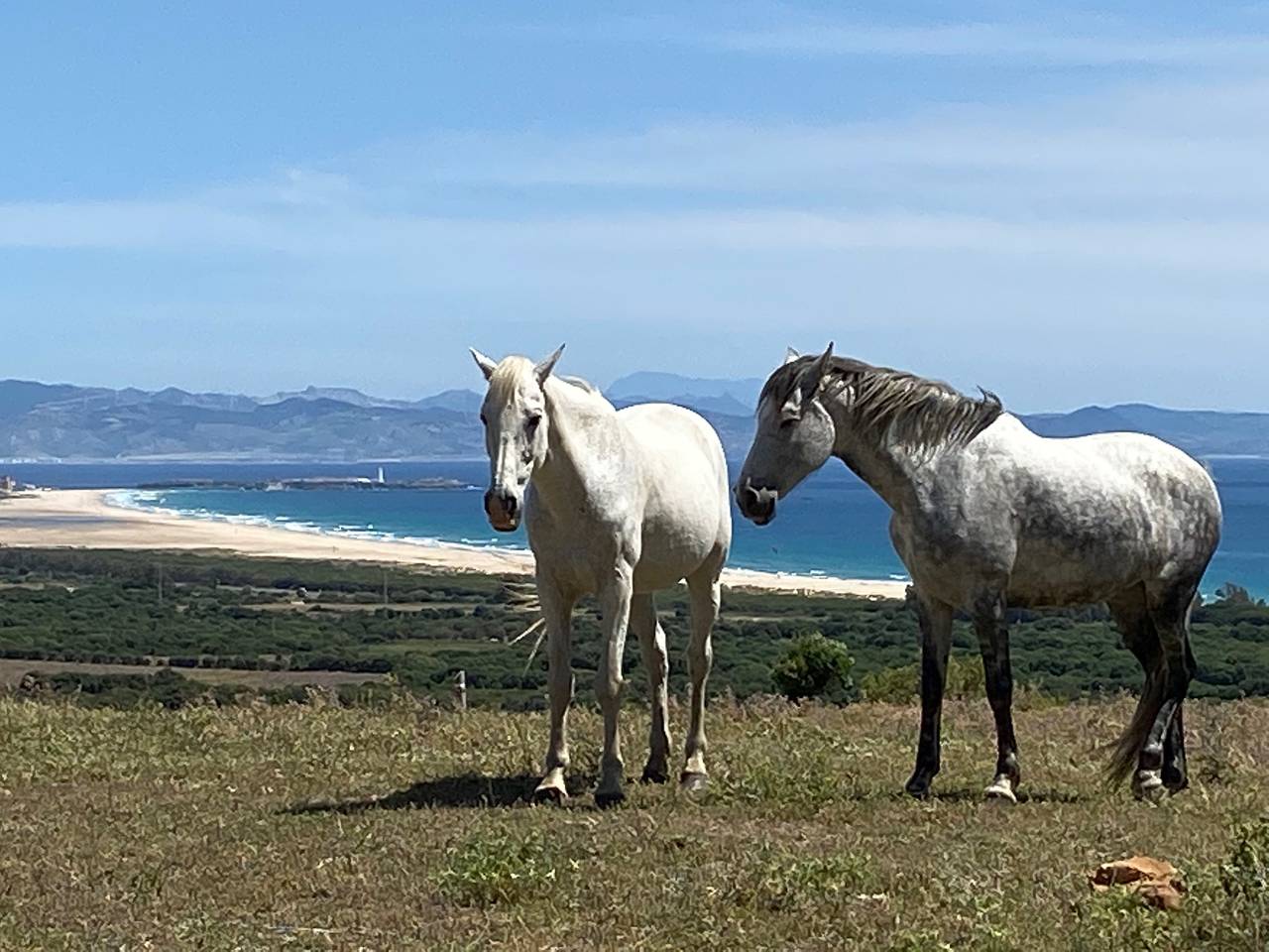 Tarifa Cabin with Panoramic Sea Views in Tarifa, Parque natural de Los Alcornocales