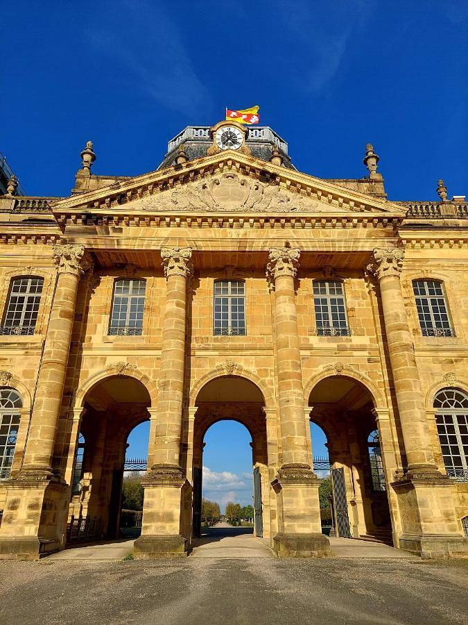 Gîte pour 2 personnes, animaux acceptés à Lunéville - 2