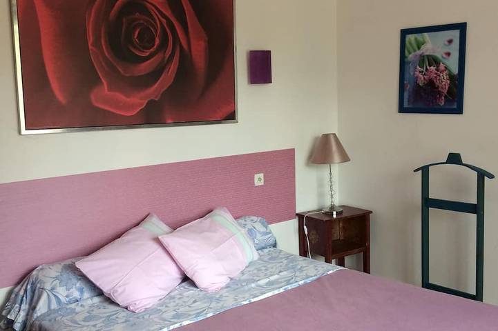 Location de vacances pour 5 personnes, avec jardin à La Roche-Vineuse - 2