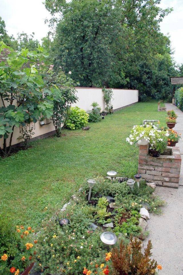 Maison d’hôte pour 4 personnes, avec vue et jardin dans Slavonie - 4