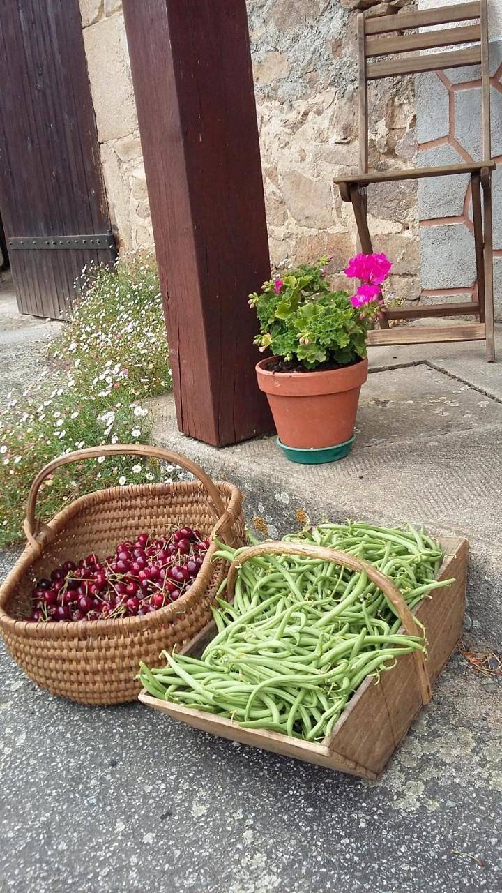 Double Room with Garden View in Saint-Amand-Magnazeix, Région de Bellac