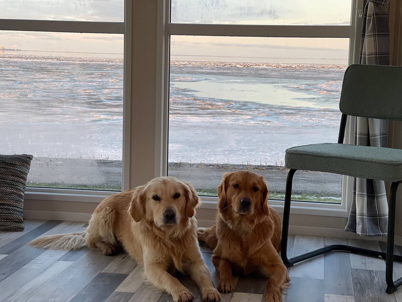 Traumlage Nr. 56 erste Reise direkt am Meer Fertigstellung März 23 eingezäunt, ruhig, phantastische Natur Nr.56 in Wieringen, Ijsselmeer