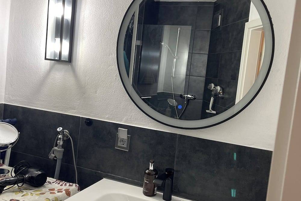 Ganze Wohnung, Domus Lux 404 in Bad Säckingen, Südschwarzwald