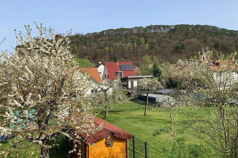 Ganze Wohnung, Appartement 3 - Appartement/Fewo, Dusche oder Bad, Wc, 2 Schlafräu in Dahn, Pfalz