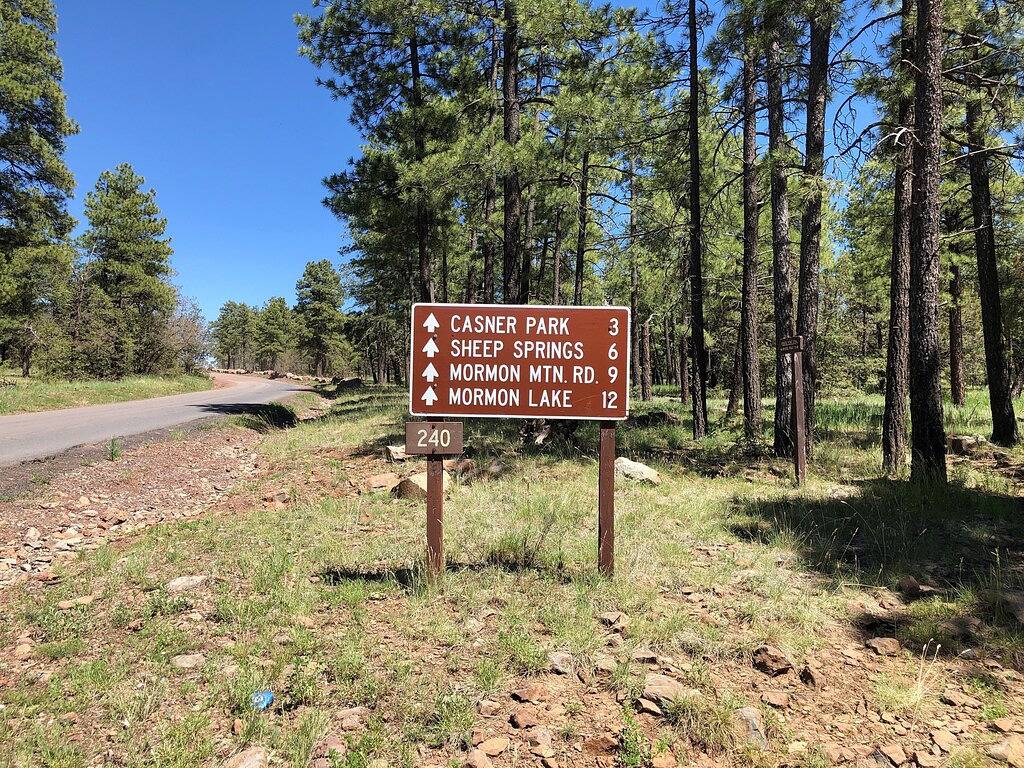 Viel Spaß in der Naughty Pines Lodge! 2 Masters, Loft & großes Deck! in Munds Park, Oak Creek Canyon