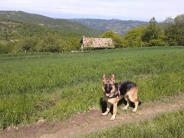 Casa Vacanza per 3 Persone in Mombarcaro, Piemonte, Foto 4