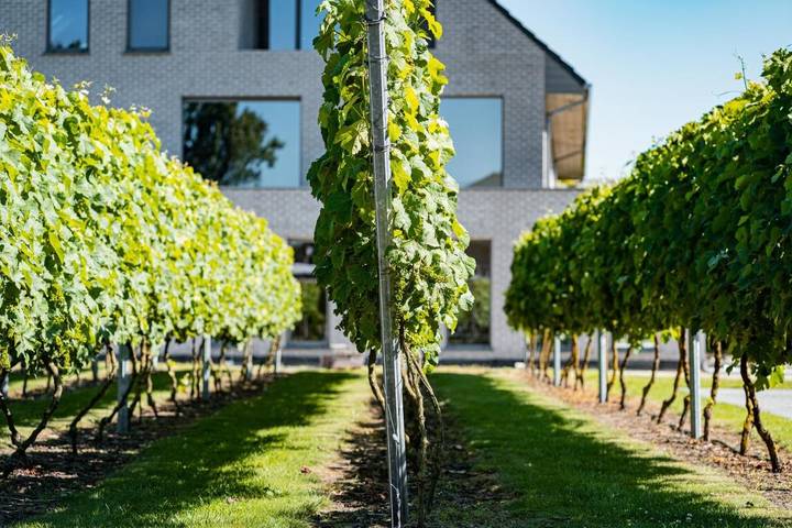 Hôtel pour 2 personnes, avec vue et jardin à Termonde