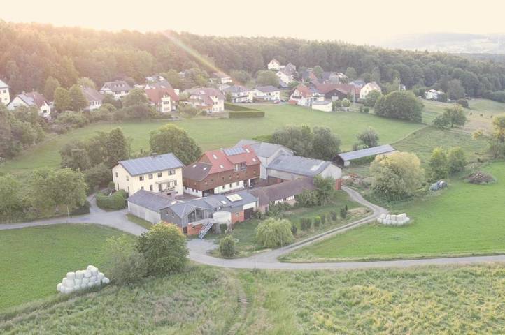 Ferienwohnung für 4 Personen, mit Terrasse und Garten sowie Sauna in Erbach im Odenwald - 2