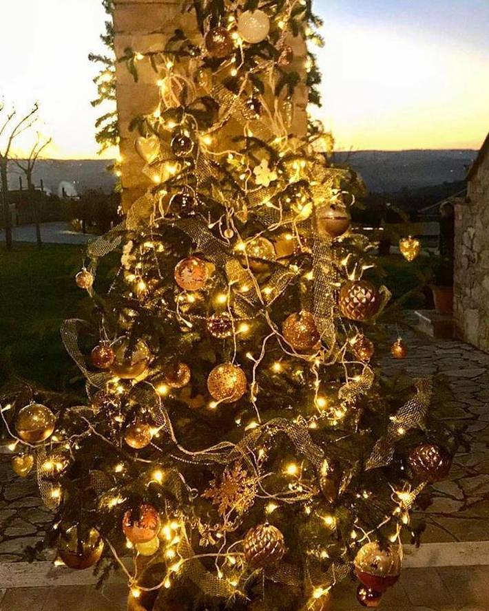 Location de vacances pour 20 personnes, avec piscine et jardin, animaux acceptés à Lugnano in Teverina - 3