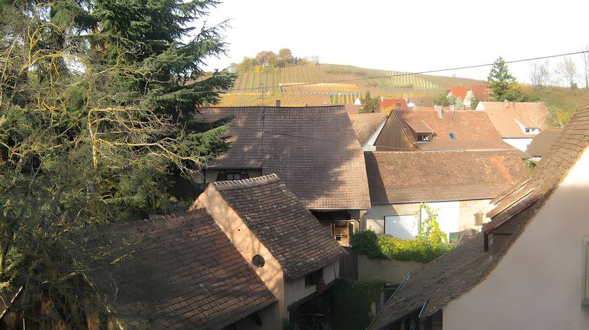 Hütte für 3 Personen im Elsass - 3