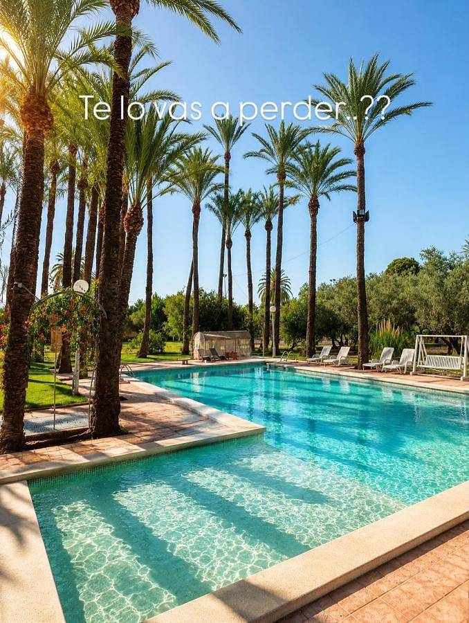 Chambre d’hôte pour 2 personnes, avec terrasse et jardin ainsi que piscine et vue à Elche