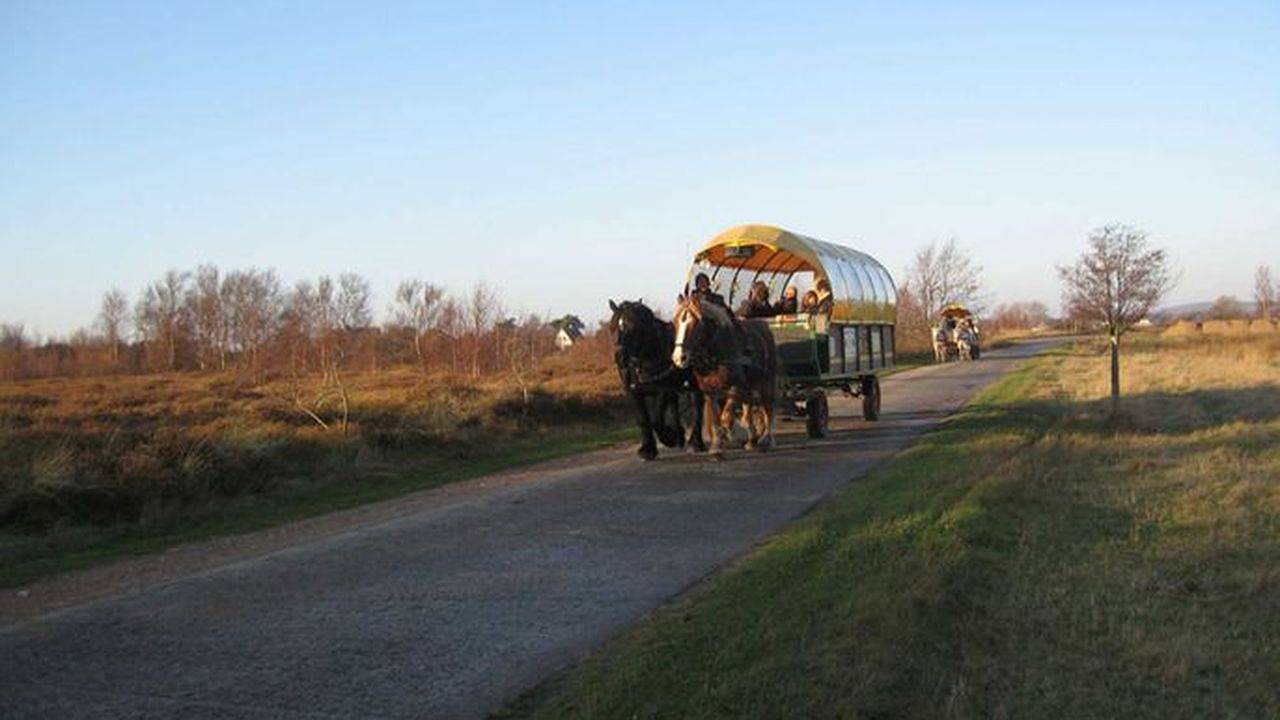 Entire holiday apartment, Ferienwohnung für 2 Personen (50 m²) in Insel Hiddensee in Hiddensee, Vorpommern-Rügen