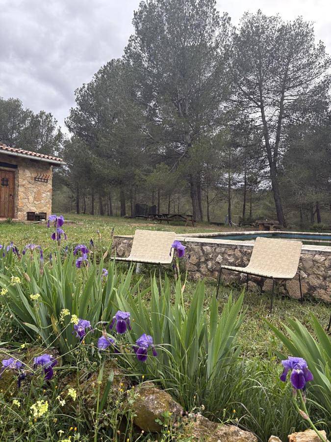 Casa rural para 20 personas, con piscina para niños y piscina además de vistas y jardín en Bolbaite