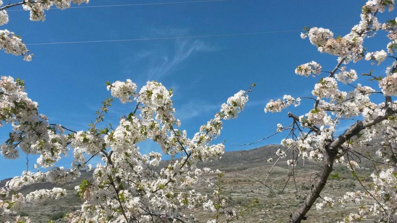 Apartamento entero, La casita del jerte in Cabezuela del Valle, Valle del Jerte