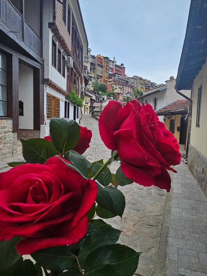 Maison d’hôte pour 6 personnes, avec vue et jardin dans Veliko Tarnovo - 4